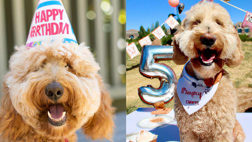 Throwing a best sale dog birthday party