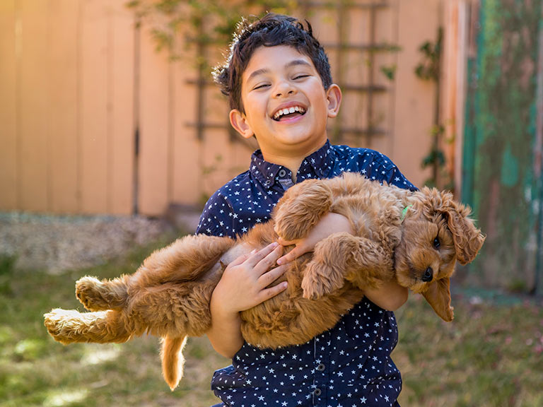 boy holding mini goldendoodle