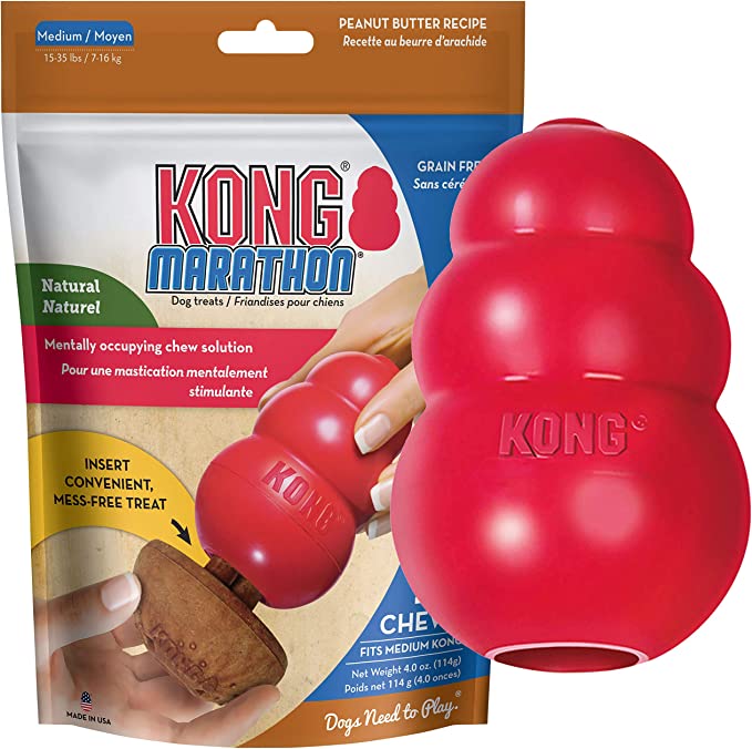 kong toy for goldendoodles