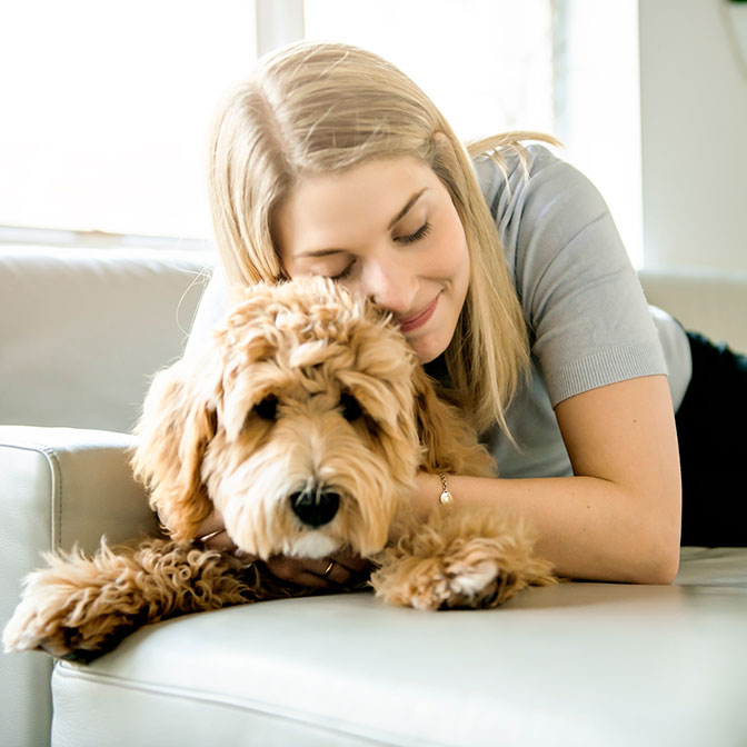 goldendoodle therapy dog getting snuggled by woman, fox creek farm