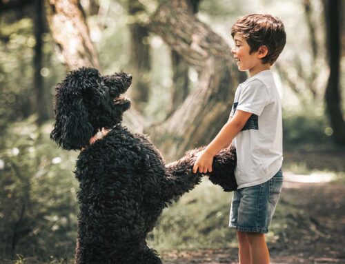 Are Dogs Good for Children’s Immune Systems & Social Skills?
