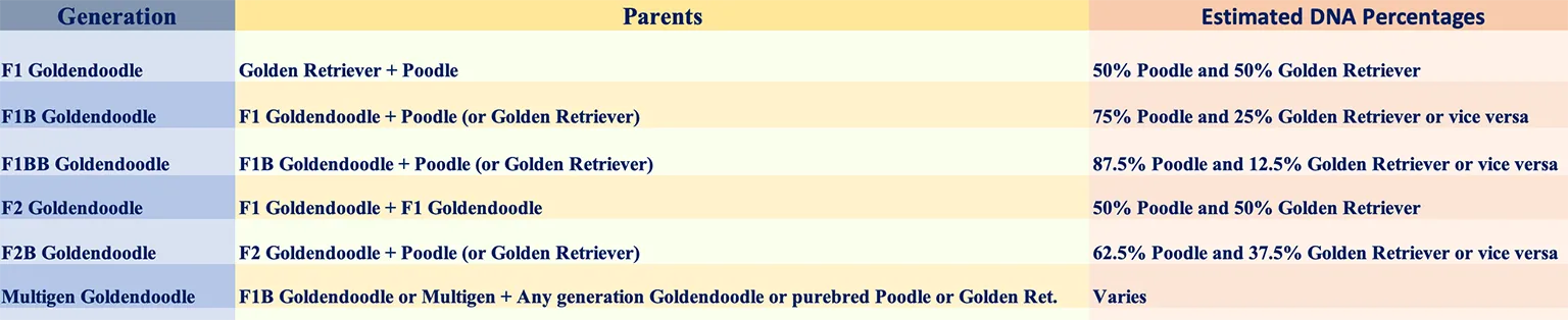 goldendoodle generations chart from fox creek farm