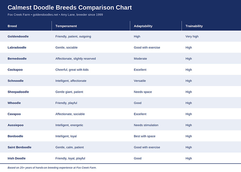 Comparison chart of the calmest Doodle breeds