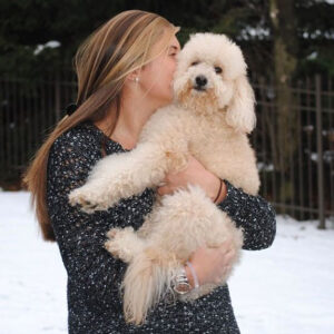 Woman holding a white Mini Goldendoodle in her arms 