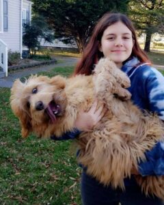 Young girl holding a Goldendoodle in her arms.