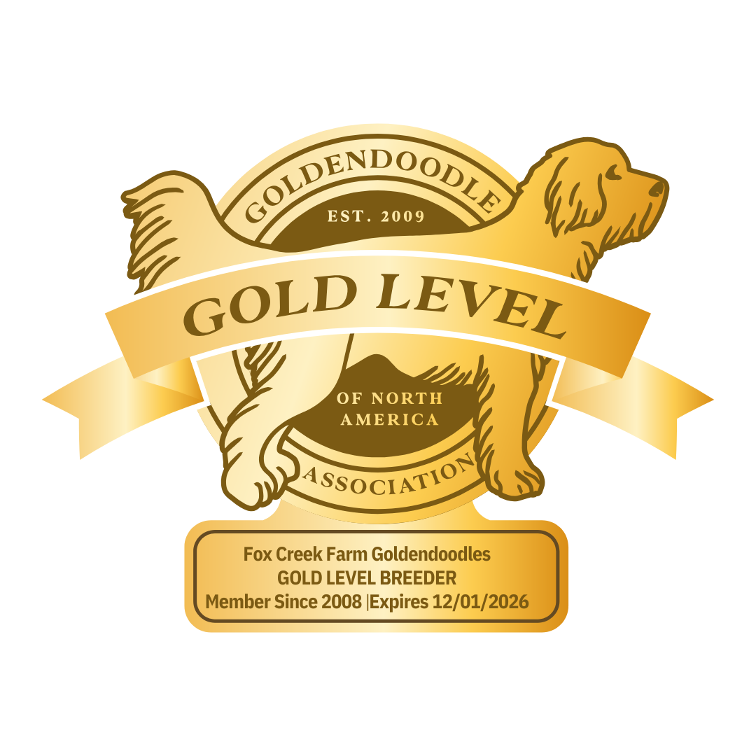 Gold Level badge with a golden doodle and a gold ribbon reading GOLD LEVEL; Fox Creek Farm Goldendoodles breeder.