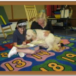 goldendoodlge reading book