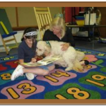 goldendoodlge reading book