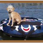 wake boarding goldendoodle