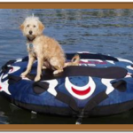 wake boarding goldendoodle