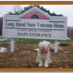 dog in front of veterans home sign