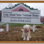 dog in front of veterans home sign