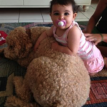 Toddler with goldendoodle Fox Creek Farm Goldendoodle Puppies for Sale