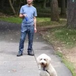 man with white goldendoodle