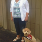 goldendoodle training