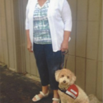 goldendoodle training